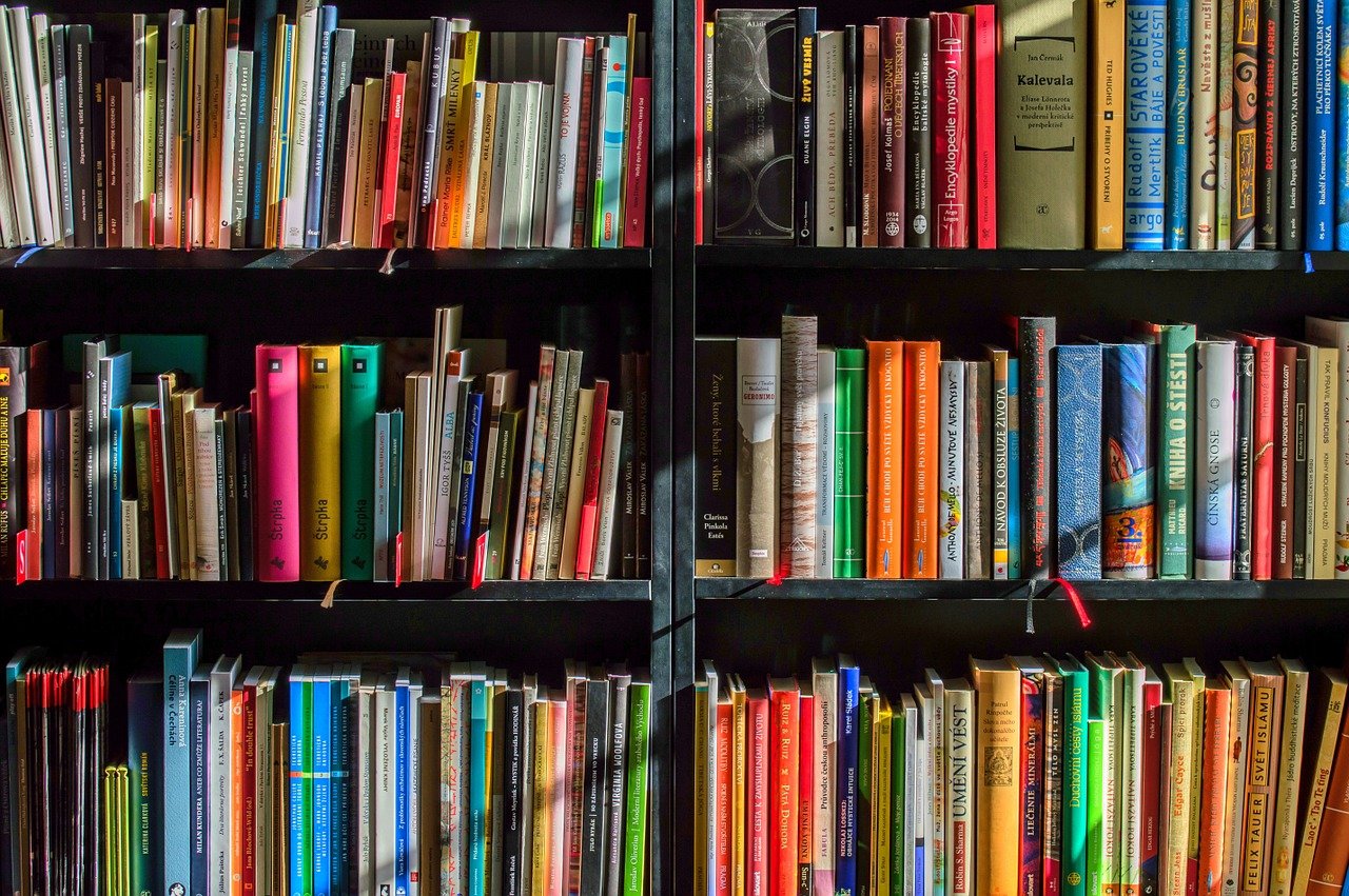Consultancy. Implementation of Knowledge base